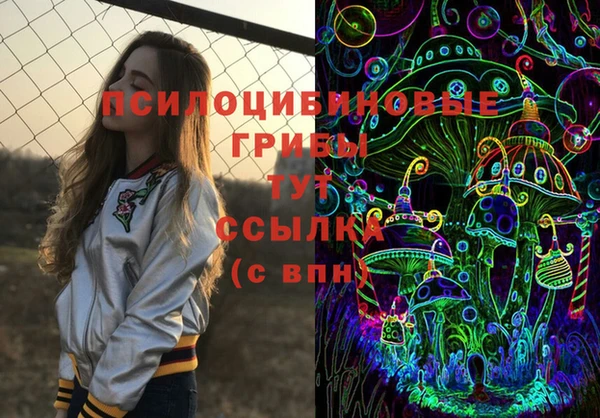 дживик Семилуки