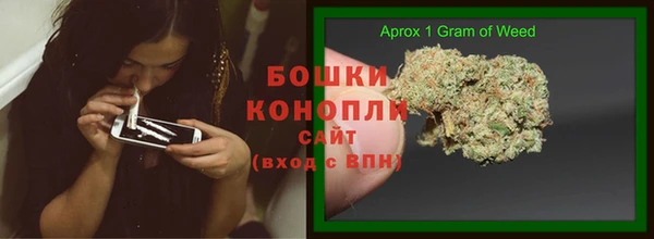 дживик Семилуки