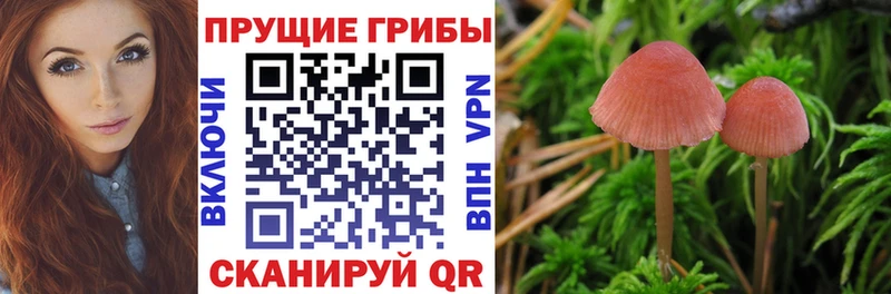 Галлюциногенные грибы мицелий  Химки 