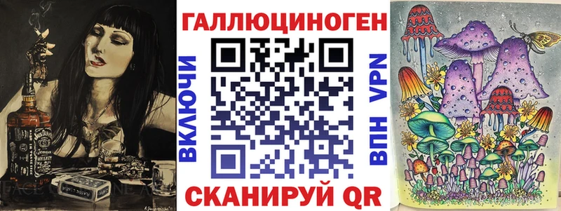Псилоцибиновые грибы Psilocybe Химки