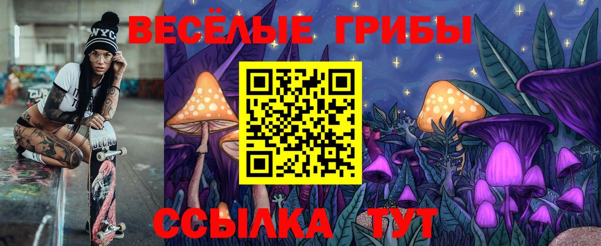 Галлюциногенные грибы MAGIC MUSHROOMS  Вход с VPN  сколько стоит  Химки  Галлюциногенные грибы Psilocybe 